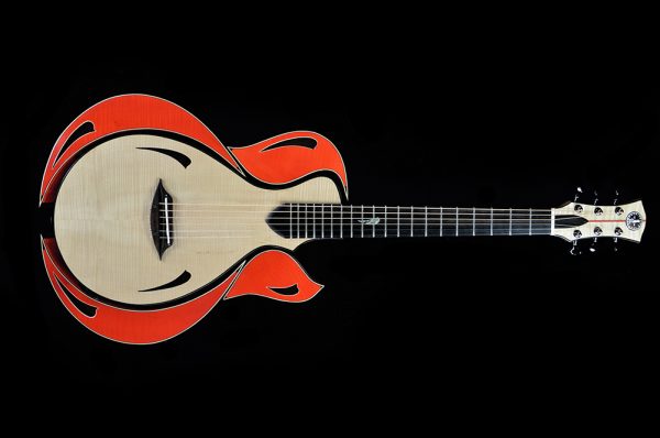 Shank Instruments modular concept guitar