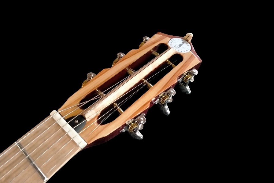 shank-instruments-milano-liuteria-chitarra-acero-quilted-custom-emanuele-d'alò-vendita-paletta-open