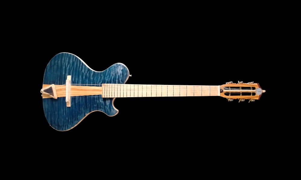 shank-instruments-milano-liuteria-chitarra-acero-quilted-custom-emanuele-d'alò-vendita